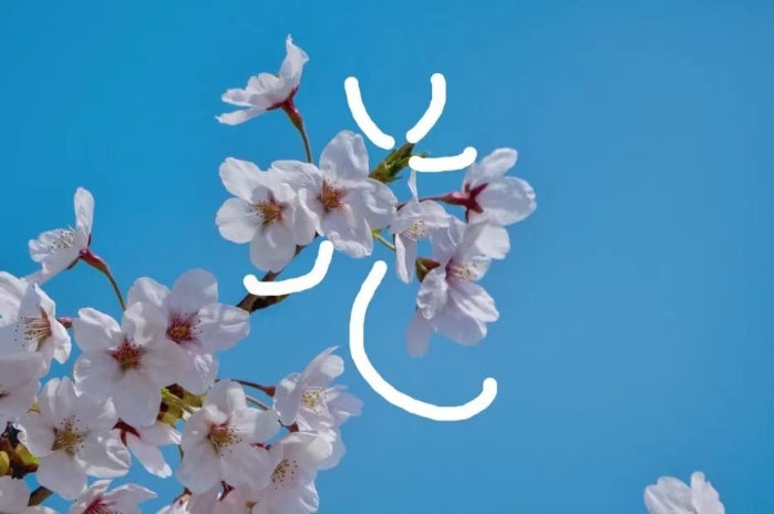 &#24320;&#20113;&#40;&#20013;&#22269;&#41;&#75;&#97;&#105;&#121;&#117;&#110;