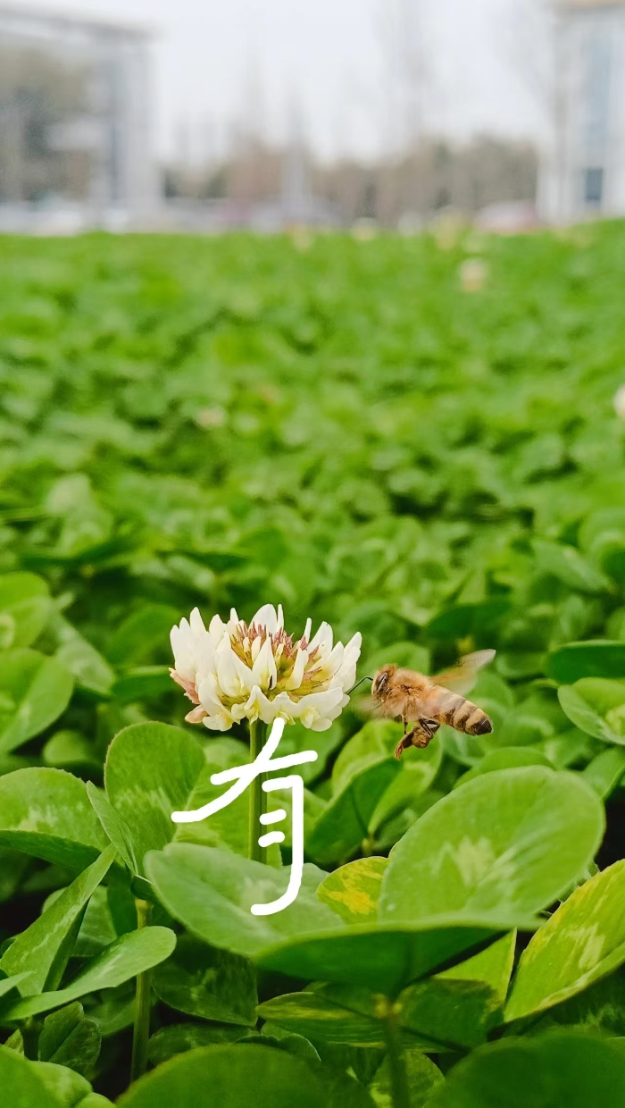 &#24320;&#20113;&#40;&#20013;&#22269;&#41;&#75;&#97;&#105;&#121;&#117;&#110;